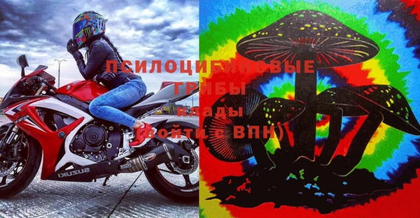 a pvp Володарск