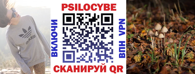 Галлюциногенные грибы Psilocybine cubensis  Купить где  Ленск 